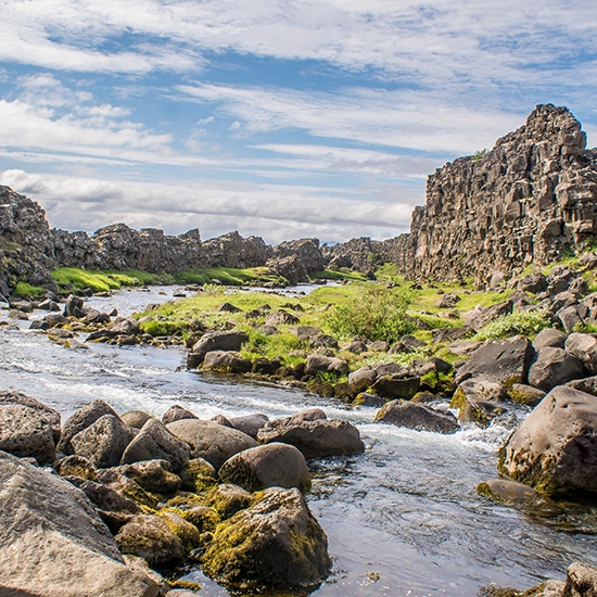 Guided walk at Þingvellir National Park