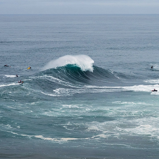 Meet a Big Wave Surfer with Surfing Lesson