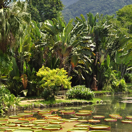 Bohemian Santa Teresa and the Botanical Gardens