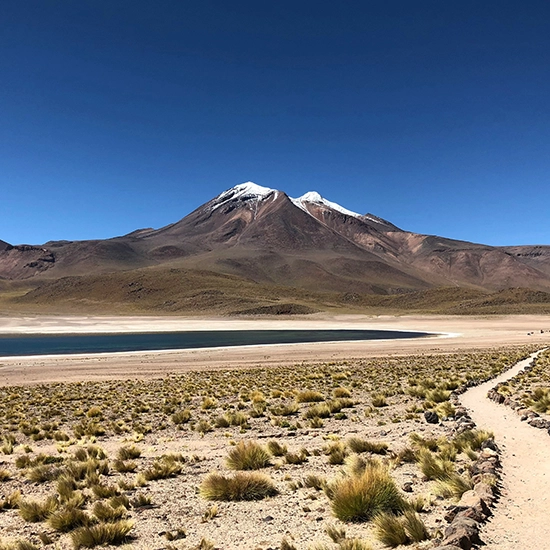 Desert Crossing