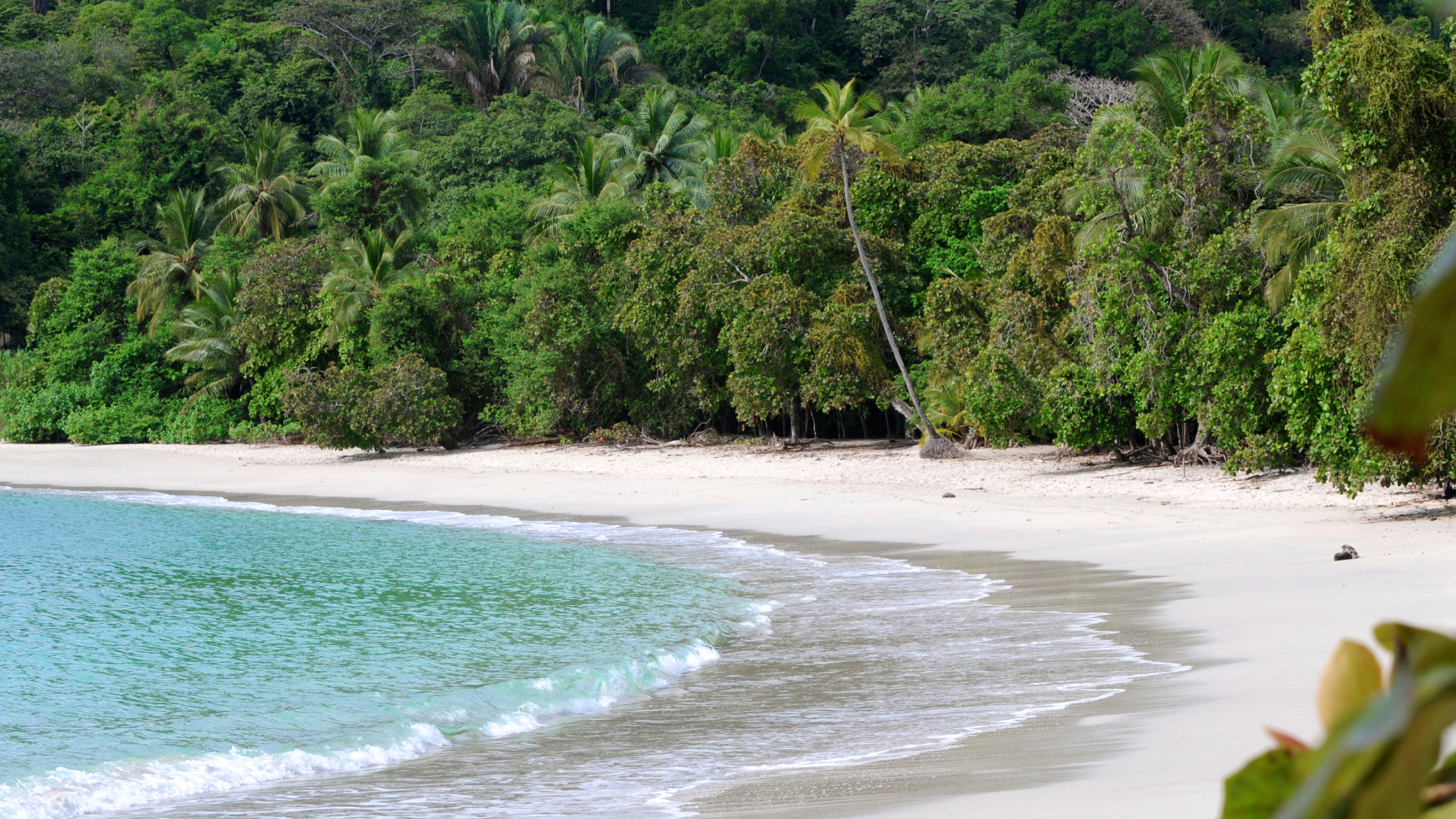 Solo-ish Costa Rica tourhub | G Adventures | Solo-ish Costa Rica