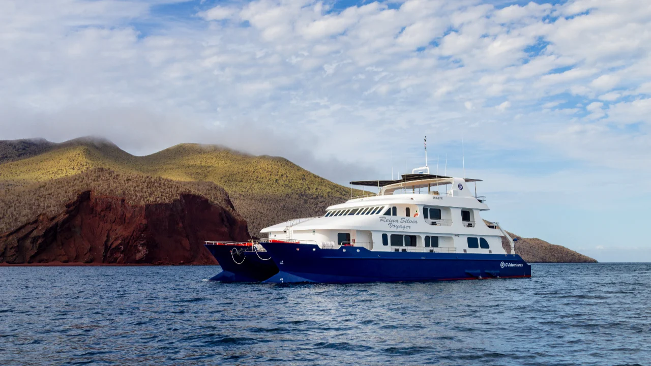Reina Silvia Voyager - Image 1