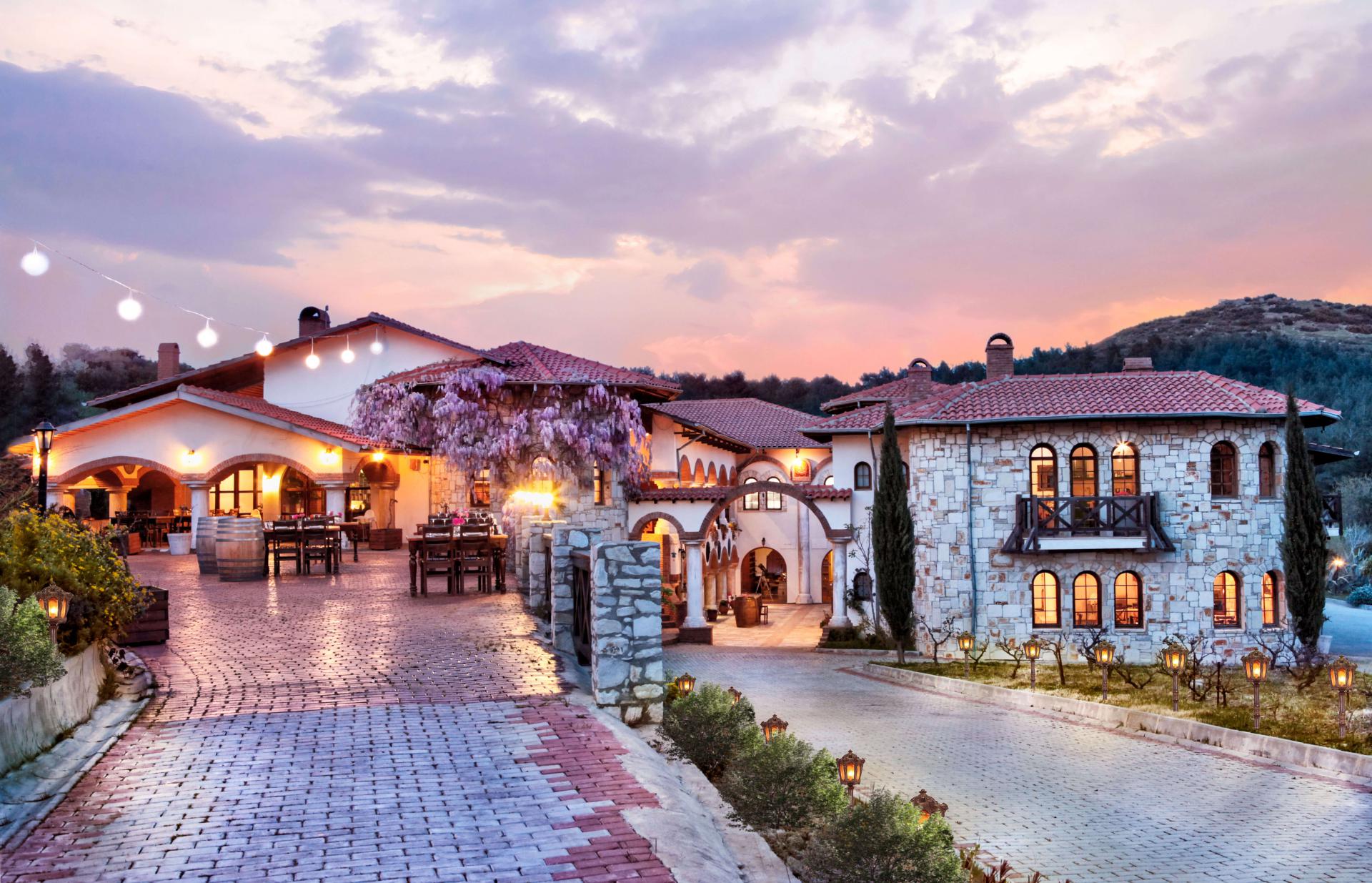Vinifera Vineyards Hotel - Image 1
