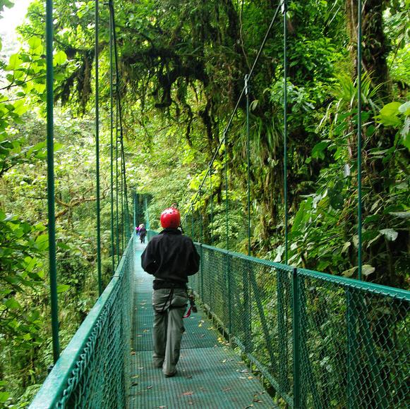 Basic Costa Rica Coastlines Cloud Forests In Costa Rica Central America G Adventures