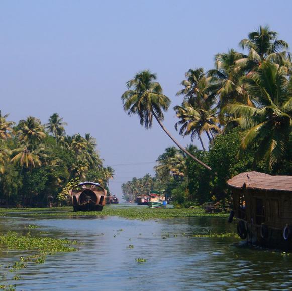 Visit Vembanad Wetlands Conservation Program