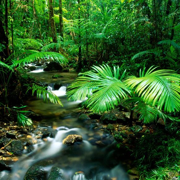 Indigenous Peoples Interpretive Walk