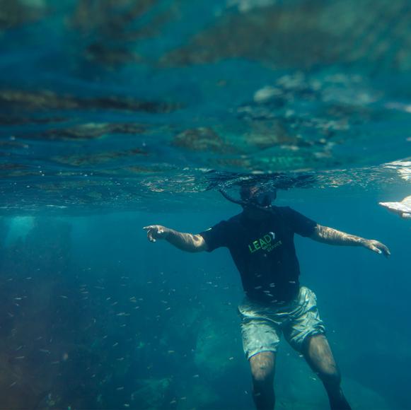 Islote Tintoreras Snorkelling
