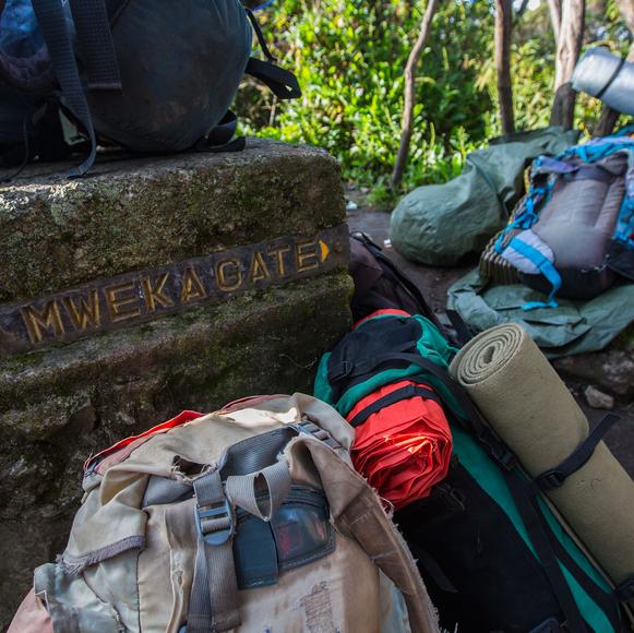 Mweka Camp to Mweka Gate