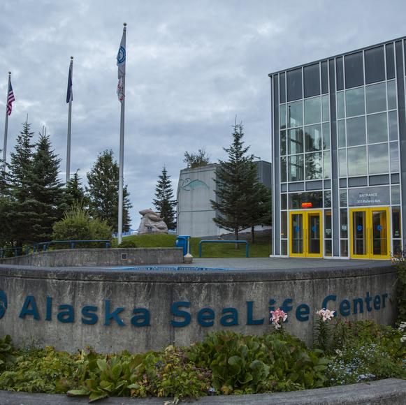 Alaska SeaLife Center