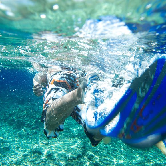 Snorkelling Excursion