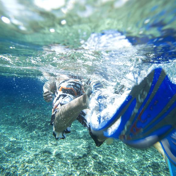 Snorkelling
