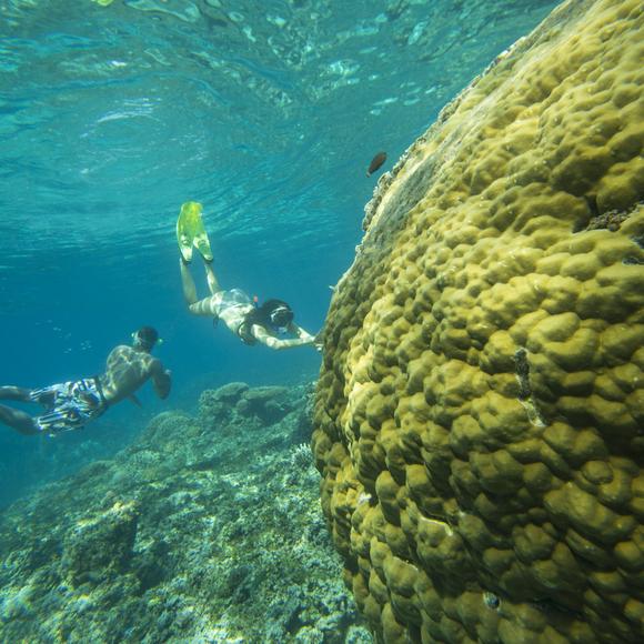 Snorkeling the Blue Lagoon