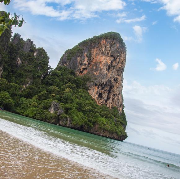 Rainforest Eco-Walk & Dinner