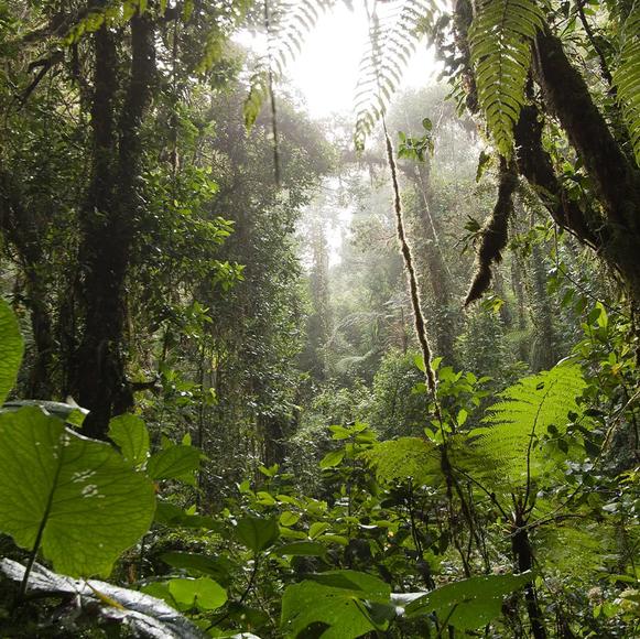 Monteverde Institute Visit