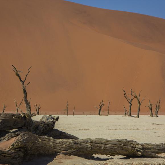 Sossusvlei Desert Walk