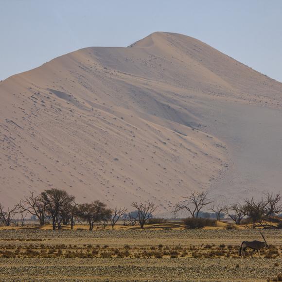 Sossusvlei Dunes Visit