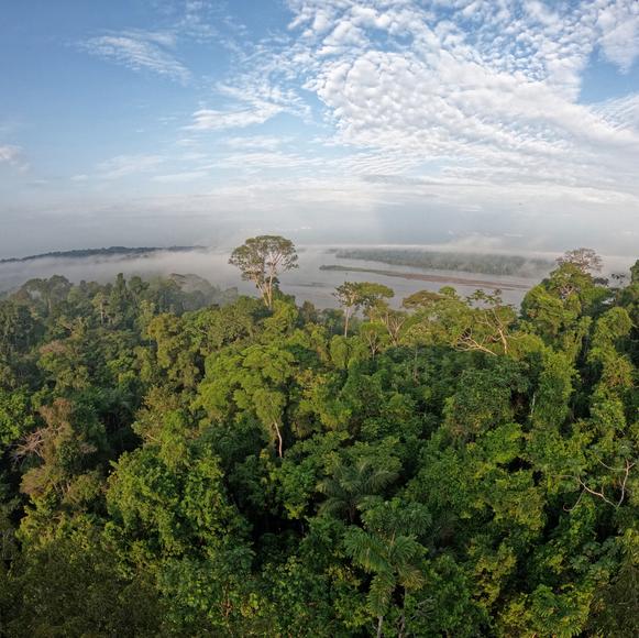 Amazon Wildlife Excursions