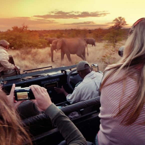 Kruger National Park Open Vehicle Wildlife Safari Drive - Full day