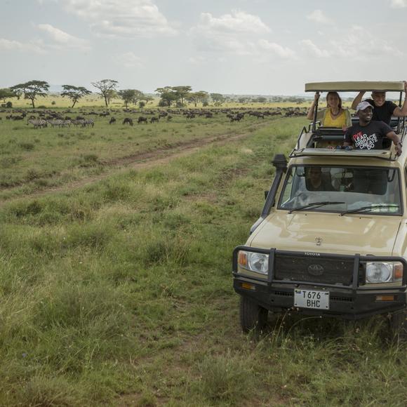 Full-Day Serengeti National Park Wildlife Safari Drive