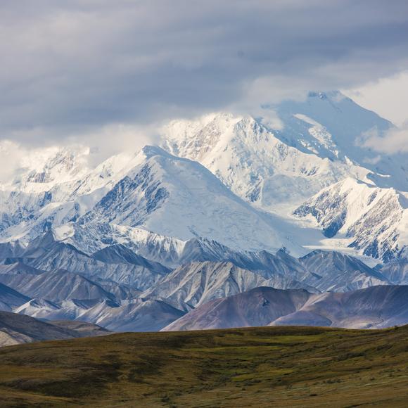 Denali National Park Visit