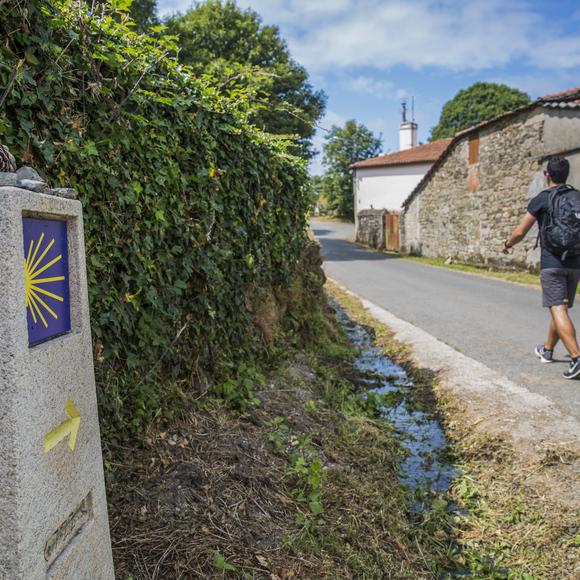 Camino de Santiago Walk
