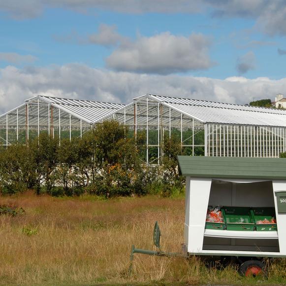 Geothermal Farm Visit with Lunch